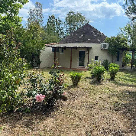 Camping Porto Rotondo -