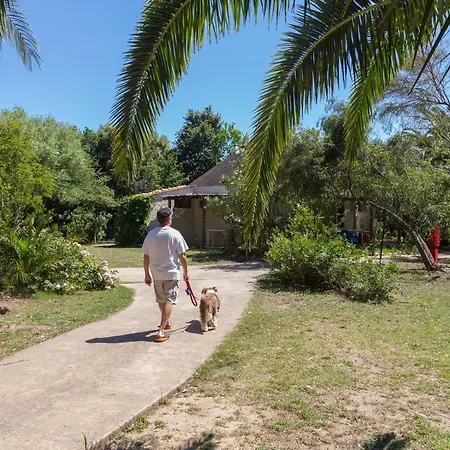 Porto Rotondo - Kemping Cugnana
